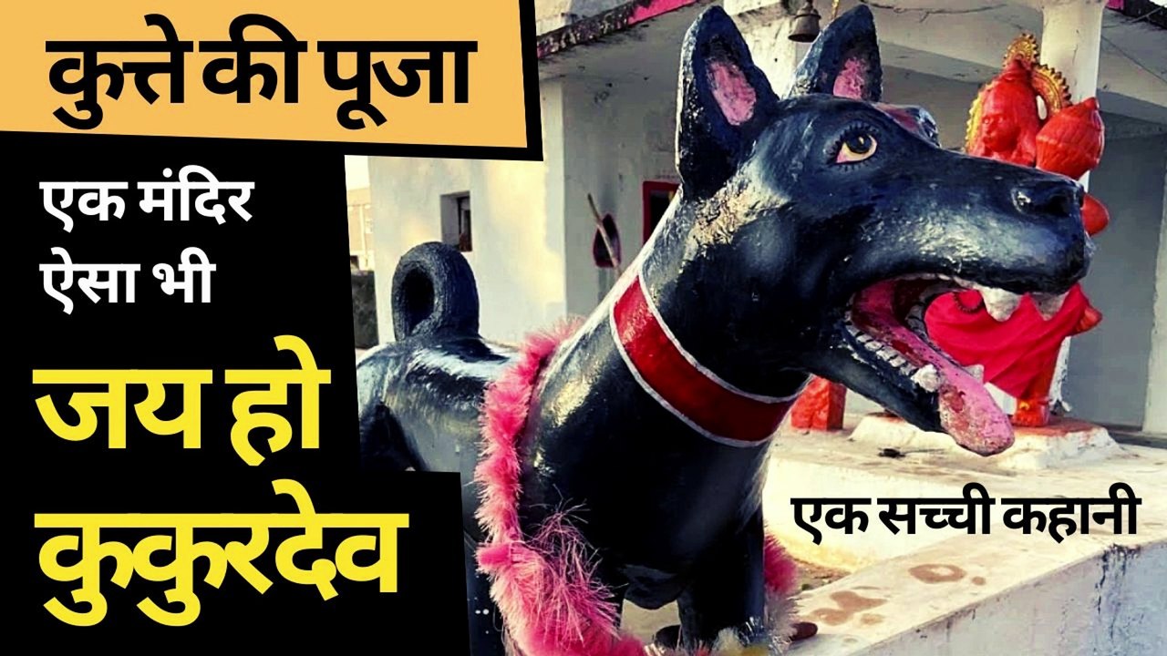 वफादारी की पूजा : एक ऐसा मंदिर जहां कुत्ते की होती है पूजा