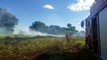 Bombeiros combatem incêndio em vegetação no XIV de Novembro