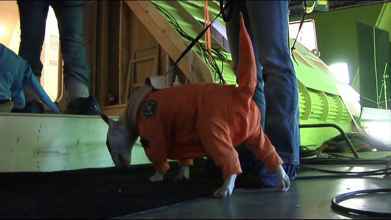 Space Buddies: Aventura no Espaço | Um Guia Buddies Para Uma Viagem Espacial