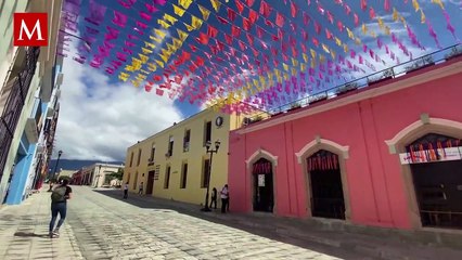 Oaxaca activa protocolo de vigilancia por casos sospechosos de rabia humana