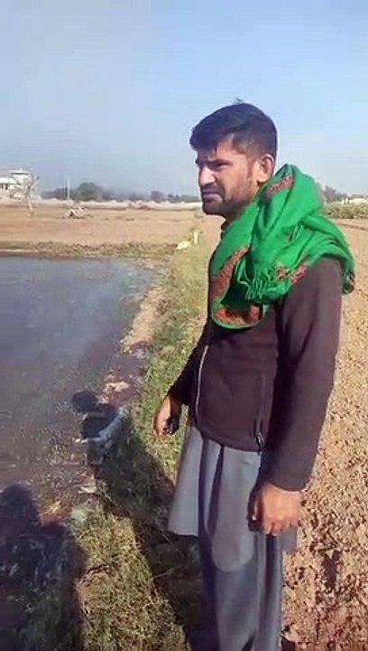 VID-20221201-WA0002