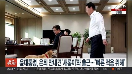 윤대통령, 은퇴 안내견 '새롬이'와 출근…대통령실 "빠른 적응 위해"