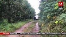 Tres personas fueron asesinadas en rancho de Atzalan, Veracruz