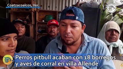 Perros pitbull acaban con 18 borregos y aves de corral en villa Allende