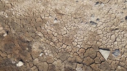 [뉴스라이더] '최악 가뭄' 완도 섬 지역...물 공급·생활은 어떻게? / YTN