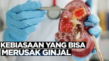 Sering Dilakukan, Berikut Kebiasaan yang Bisa Merusak Ginjal kita