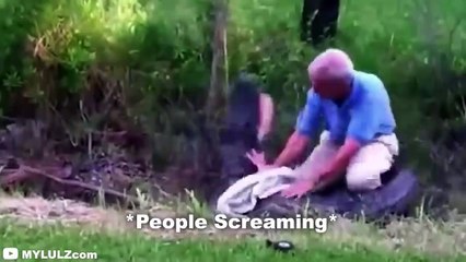 6 Crocodile Encounters You Won't Be Able to Watch