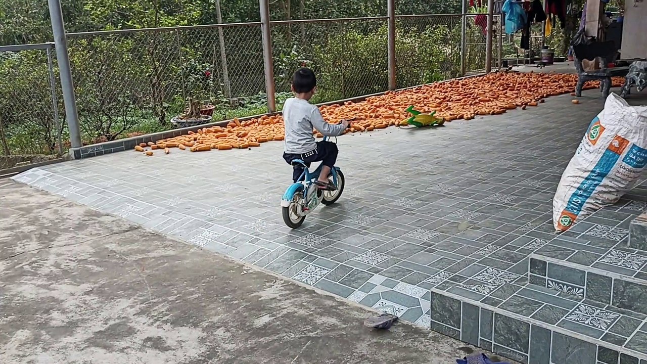 Pha đổ cua đi vào lòng đất
