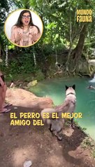 Mejor amigo: este perrito sobreprotector no dejó que su dueño hiciera un clavado