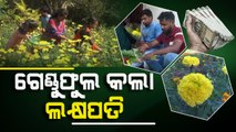 Unemployed youth in Nuapada make handsome money By Marigold Flower Harvesting