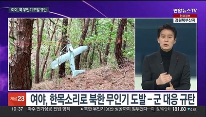 [뉴스포커스] 북 무인기 5시간여 영공 침범…여야, 한목소리 질타