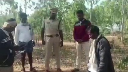 మెదక్: మేకల మందపై దాడి.. చిరుతపులి పనేనా..?