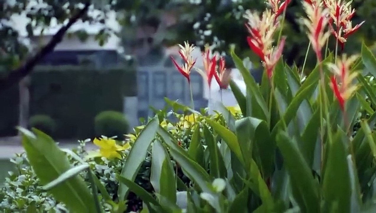 Phim Mẹ Rơm Tập 32 Full HD - Bản Chuẩn -_VTV1