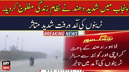 Heavy fog has paralyzed the life system in Punjab