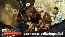เรื่องเด็ดลุยเดี่ยว | Zoo Keeper อาชีพนักดูแลสัตว์ จ.อยุธยา | ข่าวเที่ยงอมรินทร์ | 27 ธ.ค.65