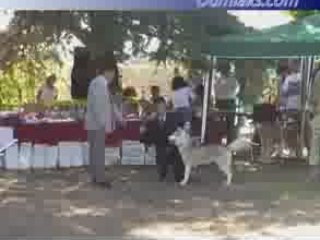 Oumiak's A Winter Tale--Italian National Specialty 2007