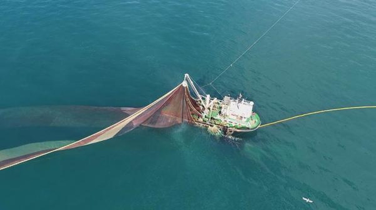 TRABZON'DA BALIKÇILIĞA 'ÇÖP' TEHDİDİ