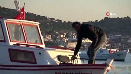 Edremit Körfezinde 10 metrelik köpek balığı paniği