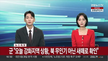 [속보] 군 "오늘 강화지역 상황, 북 무인기 아닌 새떼로 확인"