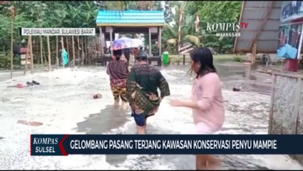 Download Video: Gelombang Pasang Terjang Kawasan Konservasi Penyu Mampie