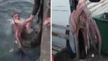 6 kiloluk ahtapotu denize atlayıp elleriyle yakaladı! Tam 2 bin 250 liraya sattı