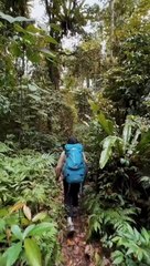 treking