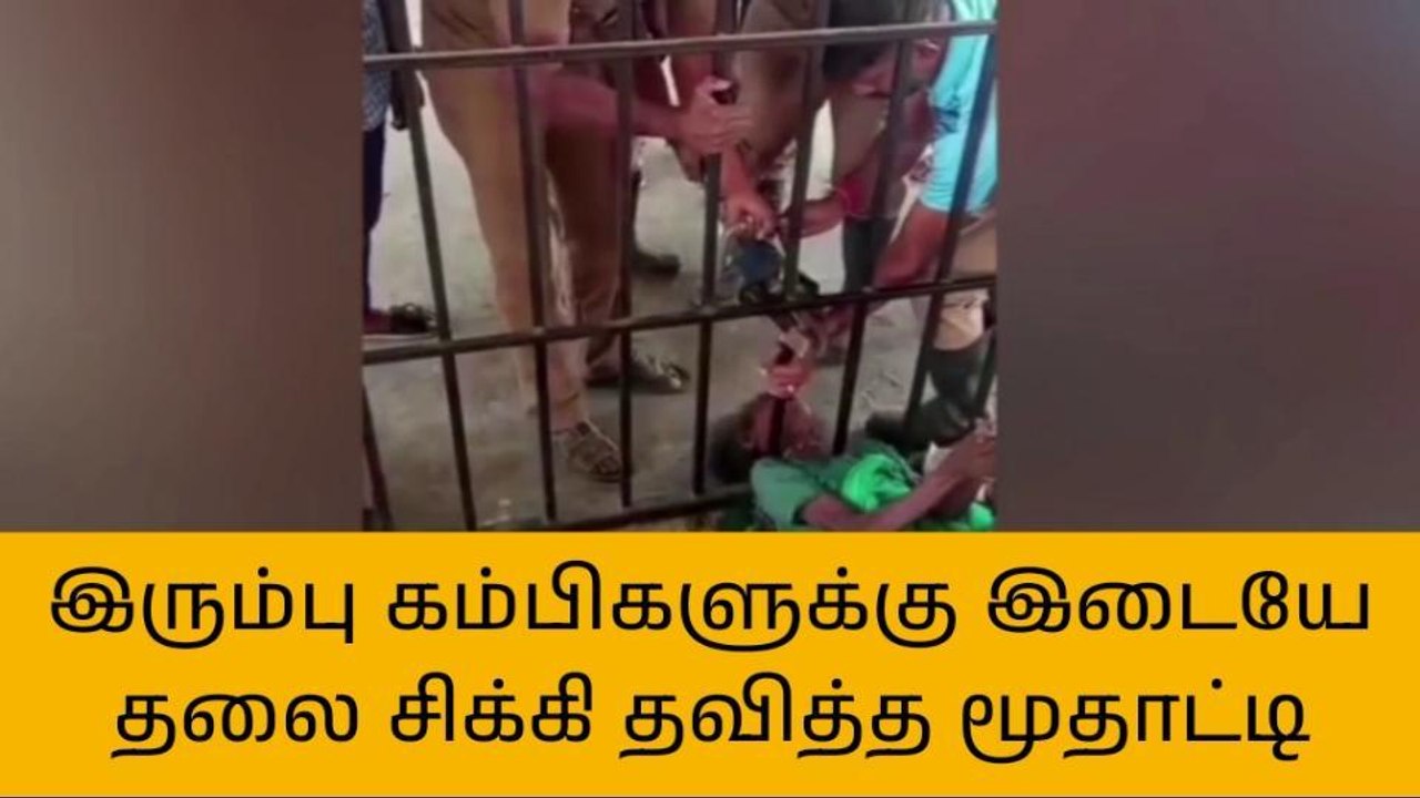 தஞ்சாவூர்: மூதாட்டிக்கு நேர்ந்த விபரீதம்-வீடியோ பெரும் வைரல்