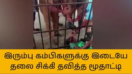 தஞ்சாவூர்: மூதாட்டிக்கு நேர்ந்த விபரீதம்-வீடியோ பெரும் வைரல்