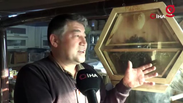 Arıları gözlemlemek için ‘Arıvaryum’ adında kovan dizayn etti