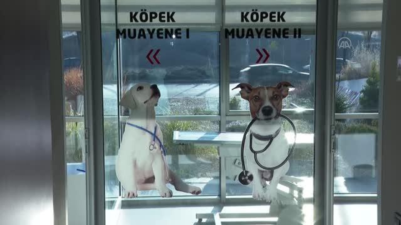 Evcil hayvan sahiplerine, mikroçip uygulamasında "beyanname" imkanı