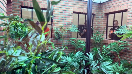 Leandro Erlich: Liminal / Pérez Art Museum Miami