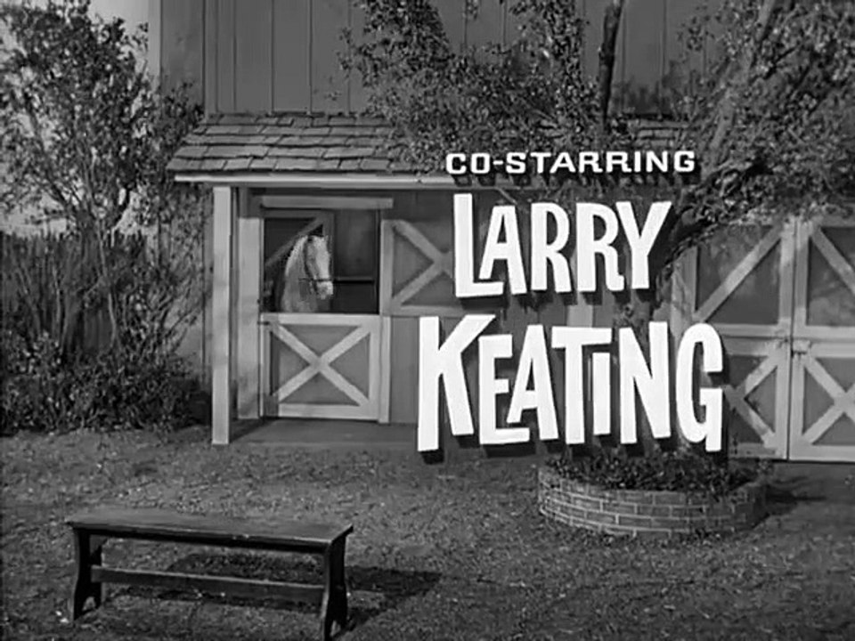 Mister Ed - Se4 - Ep02 HD Watch HD Deutsch