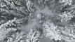 Kastamonu'da kar yağışının ardından ormanlar beyaz örtüyle kaplandı