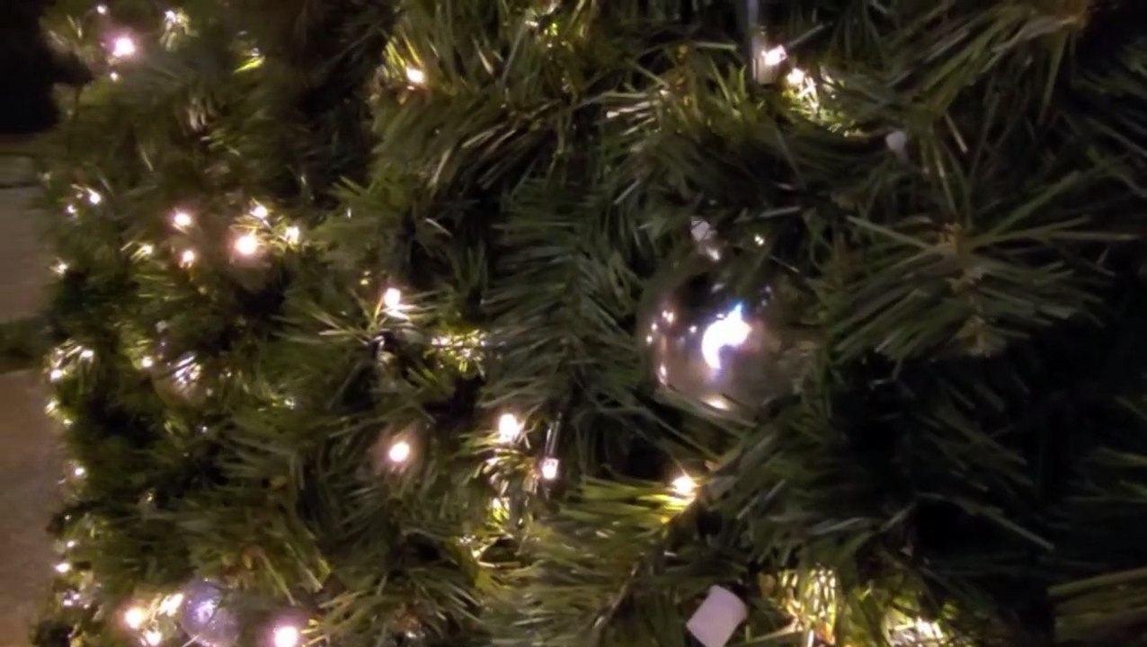 Derry Christmas Tree vandalised video Dailymotion
