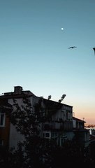 Aesthetic Video For Edits