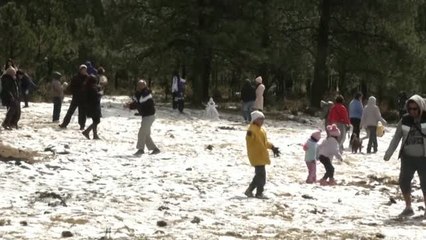 Insólita blanca Navidad en México DF