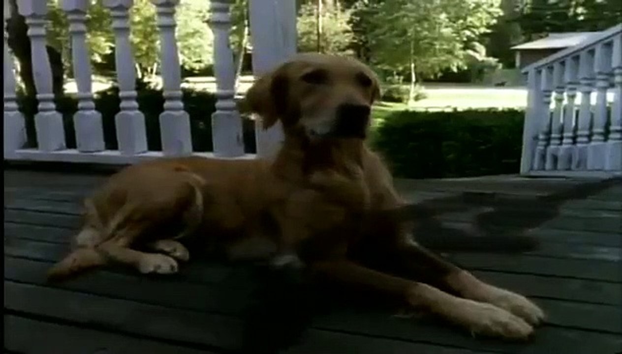 Goosebumps - Se1 - Ep12 - Stay Out of the Basement (1) HD Watch HD Deutsch