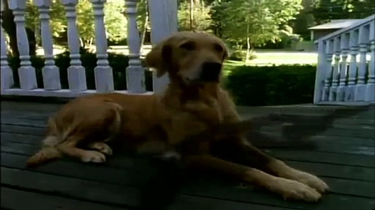 Goosebumps - Se1 - Ep14 - It Came from Beneath the Sink HD Watch HD Deutsch