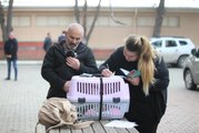 Kırklareli'nde 6 bin 875 evcil hayvan kayıt altına alındı