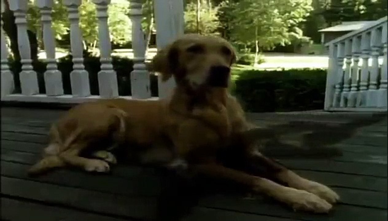 Goosebumps - Se2 - Ep01 - Be Careful What You Wish For HD Watch HD Deutsch