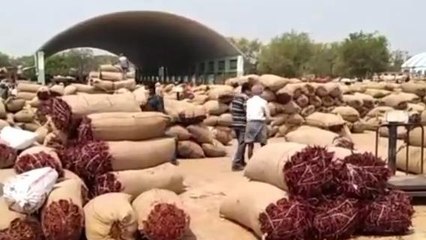 వరంగల్ ఈస్ట్: పెరిగిన ఎర బంగారం ధర.. అన్నదాతల ఆనందం