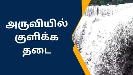 தேனி:சுருளி அருவியில் குளிக்க தடை.!