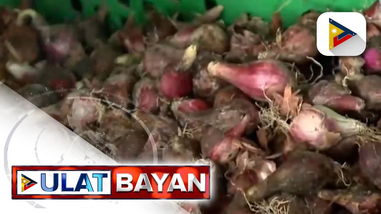 Dept. of Agriculture, planong bilhin ang mga bagong aning sibuyas mula sa Nueva Ecija at Mindoro bago pumasok ang Bagong Taon