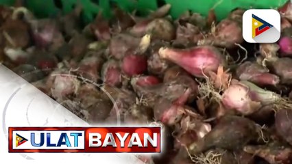 Dept. of Agriculture, planong bilhin ang mga bagong aning sibuyas mula sa Nueva Ecija at Mindoro bago pumasok ang Bagong Taon