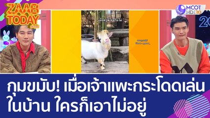 เจ้าของกุมขมับ! เมื่อเจ้าแพะกระโดดเล่นในบ้าน ใครก็เอาไม่อยู่ (27 ธ.ค. 65) แซ่บทูเดย์