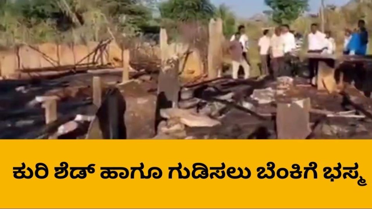 ಕುರಿಶೆಡ್ ಗೆ ಆಕಸ್ಮಿಕ ಬೆಂಕಿ: ಸುಟ್ಟು ಕರಕಲಾದ 6 ಕುರಿ!