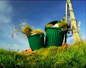 Minuscule - Se6 - Ep09 HD Watch HD Deutsch