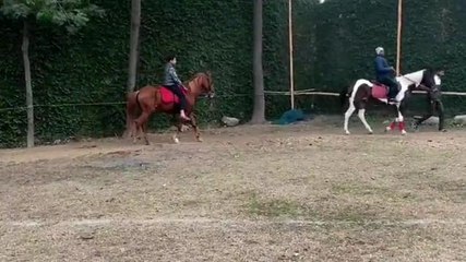 सहारनपुर: हॉर्स राइडिंग में क़िस्मत आजमा सकेंगे युवा, एकेडमी हुई शुरू