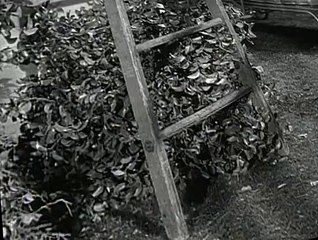 My Favorite Martian S02 E19