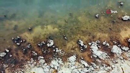 Liman kullanılmaz hale geldi! Van Gölü'nde şaşkına çeviren olay